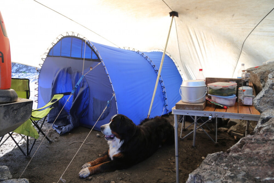 Тент Век 5х4,5 костровой